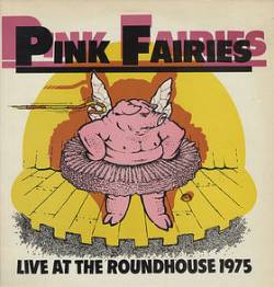 Pink Fairies : Live at the Roundhouse 1975